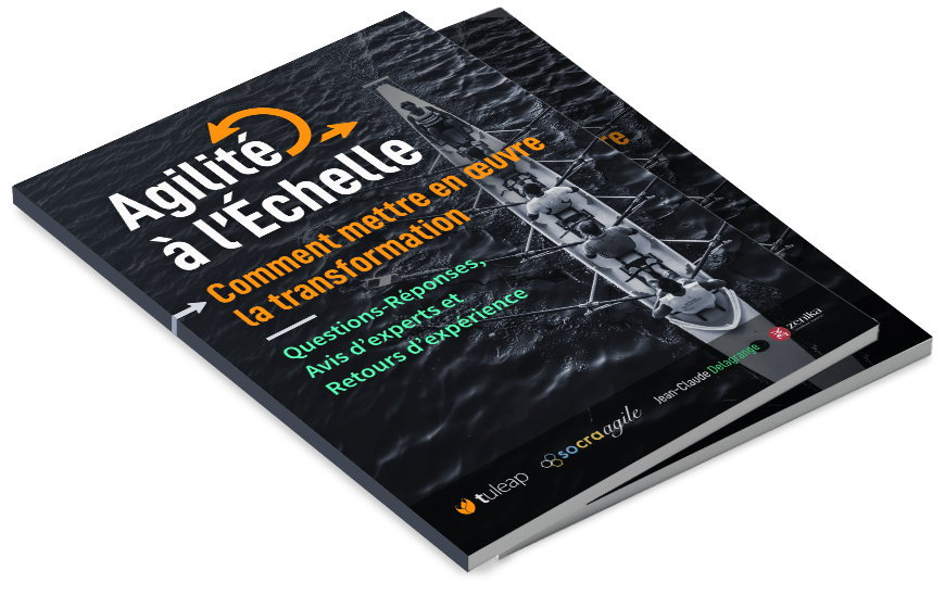 e-book agilité à l'échelle